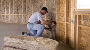 Best Commercial Insulation Services  in Fox River Grove, IL